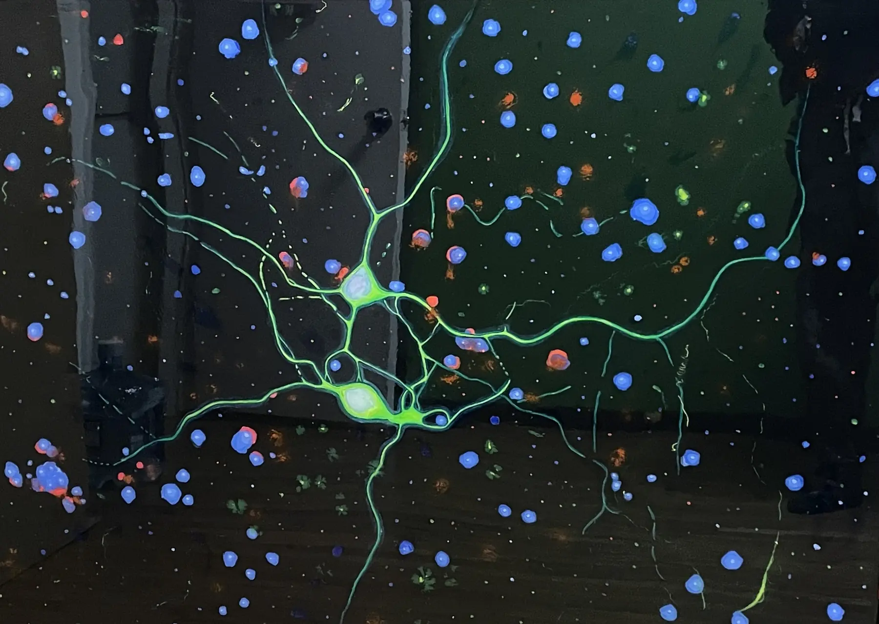 Neuron. A single bright green neuron with long branches, surrounded by small blue and orange dots on black.